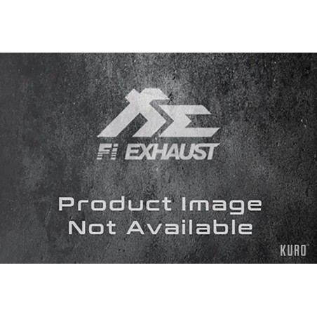 Fi EXHAUST Aston Martin Rapide / S Cat-back