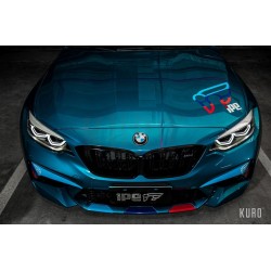 iPE BMW M2 Competition (F87N) Cat-back