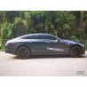 iPE Mercedes-Benz / AMG GT43 / GT53 (X290) Cat-back