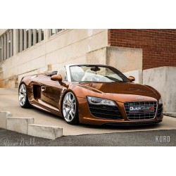 Quicksilver Audi R8 V8 and V10
