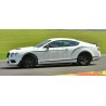 Quicksilver Bentley Continental GT3R
