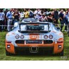 Quicksilver Bugatti Veyron 16.4 (2005-15)