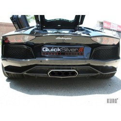 Quicksilver Lamborghini Aventador