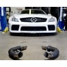 Quicksilver Mercedes SL 65 AMG Black Series (R230)