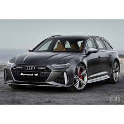 Supersprint Audi RS6 / RS7 4.0 TFSI GPF/OPF Cat-back