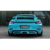 TechArt Porsche 718 Boxster / Cayman / S (Valved)