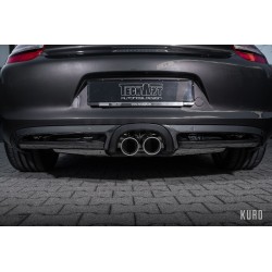 TechArt Porsche Boxster / Cayman / S (981) (Valved)