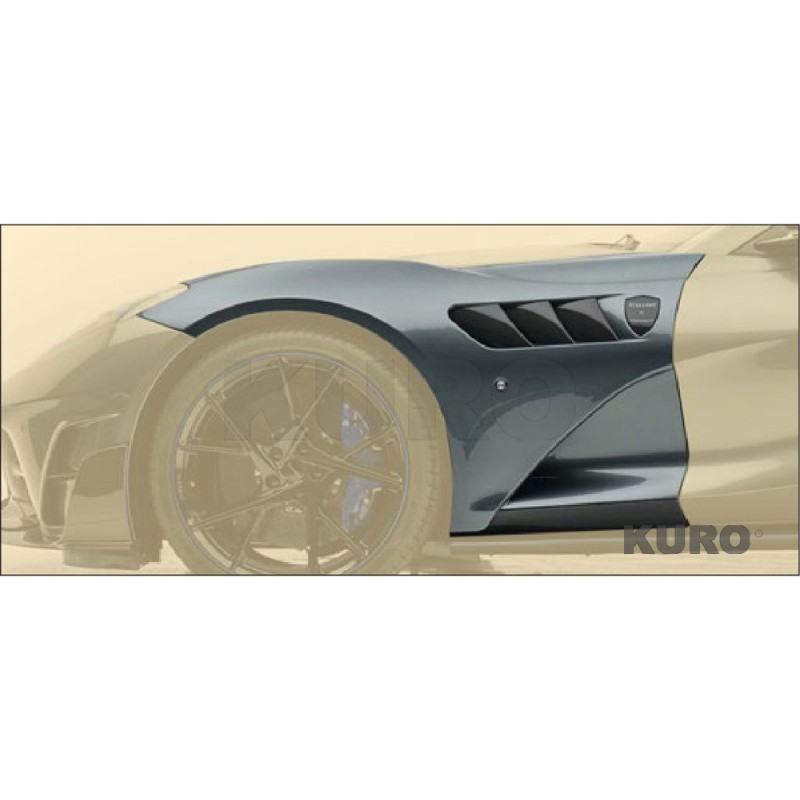 MANSORY 812 GTS — Błotniki przednie