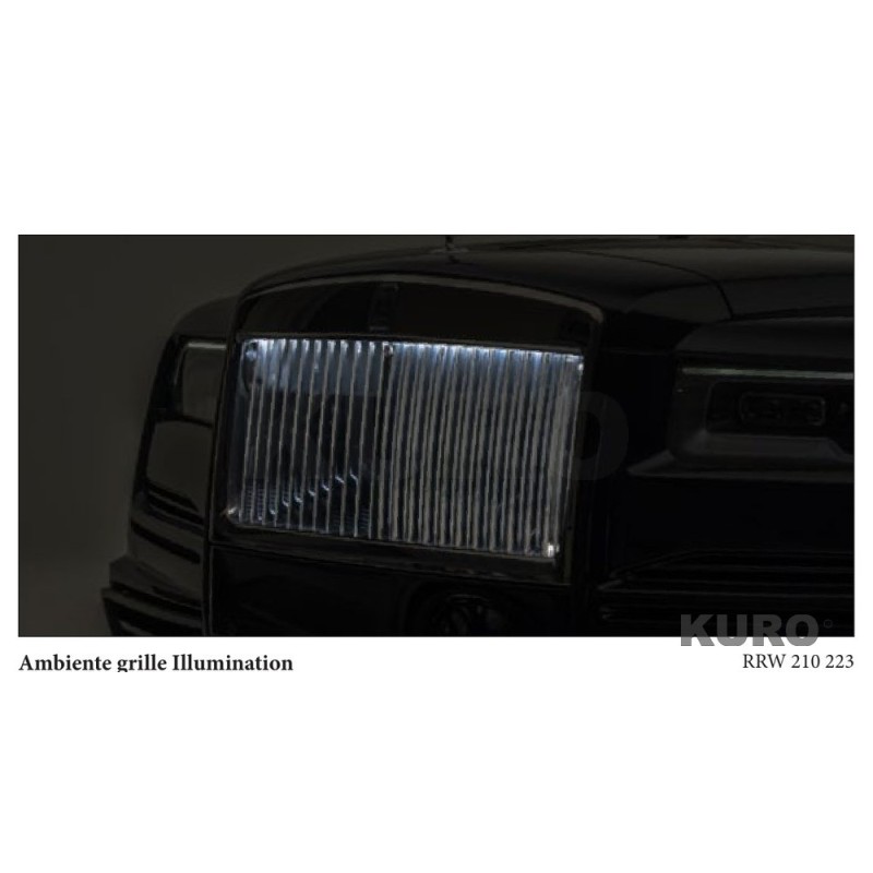 MANSORY Dawn — Ambiente grill i przedni zderzak Podświetlenie