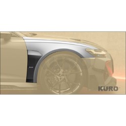 MANSORY RS6 — Błotnik przedni z airoutake + podświetlany logo