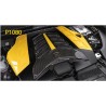 MANSORY RSQ8 — P1080 bez Cat