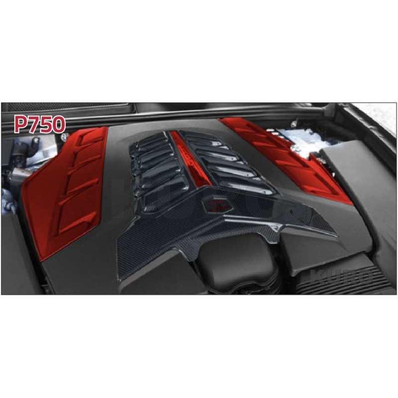 MANSORY GT 2019 — P750 (z Cat) V8