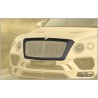 MANSORY Bentayga — Przedni maska grilla do B-sculpture