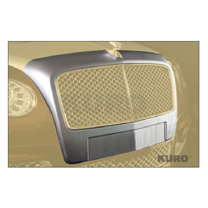 MANSORY FS 2014 — Przedni grill I. maska do B-sculpture