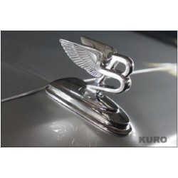 MANSORY FS 2014 — Flying-B-sculpture
