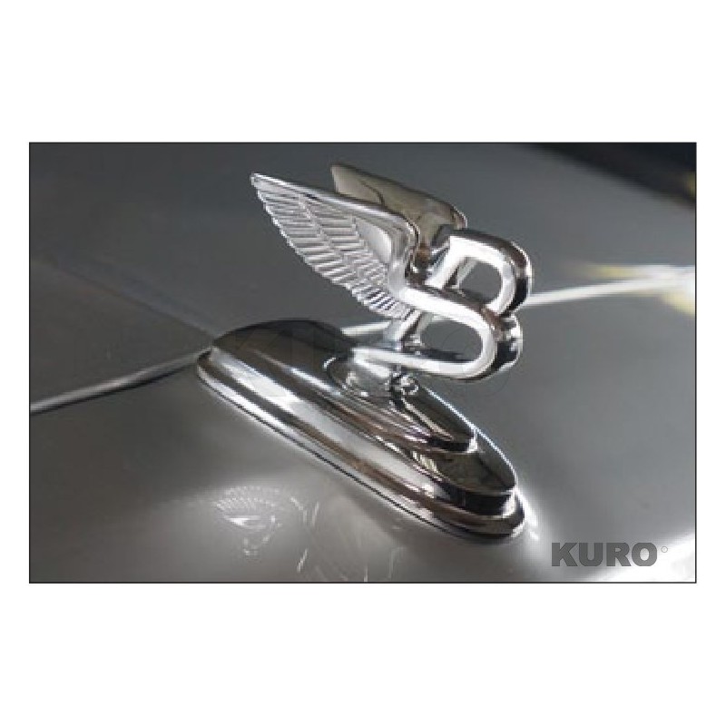 MANSORY FS 2014 — Flying-B-sculpture