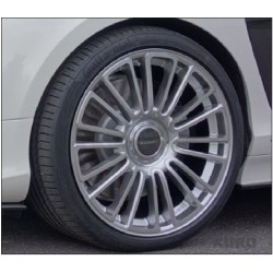 MANSORY FS 2014 — ( Srebrny diamond wycięcie )