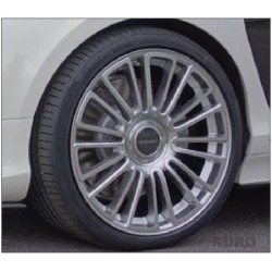 MANSORY Vogue MK IV — ( Srebrny diamond wycięcie )