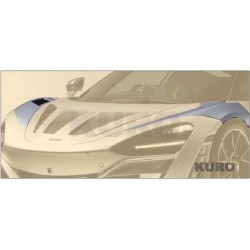 MANSORY 720S — Błotniki przednie