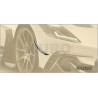 MANSORY MC20 — Wyścigowy płetwy - Karbon