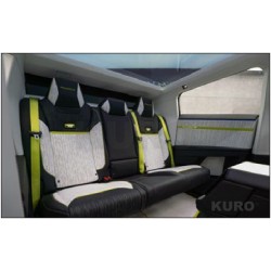 MANSORY Tesla — Podsufitka