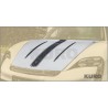 MANSORY Taycan — Maska silnika
