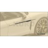 MANSORY Taycan — Drzwi stripe
