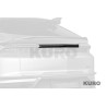 TopCar URUS SE R'Evo Limited Edition — Tabliczka, widoczny karbon, (can be installed separately)