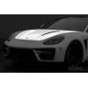 TopCar Panamera GT Edition (971) — Maska, 1 szt., pod lakier
