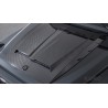 BRABUS Karbon powerdome