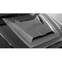 BRABUS Karbon powerdome