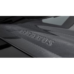 BRABUS Karbon powerdome