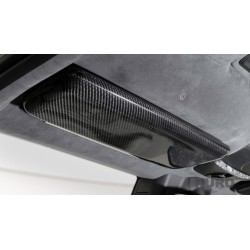 BRABUS Karbon sun visors
