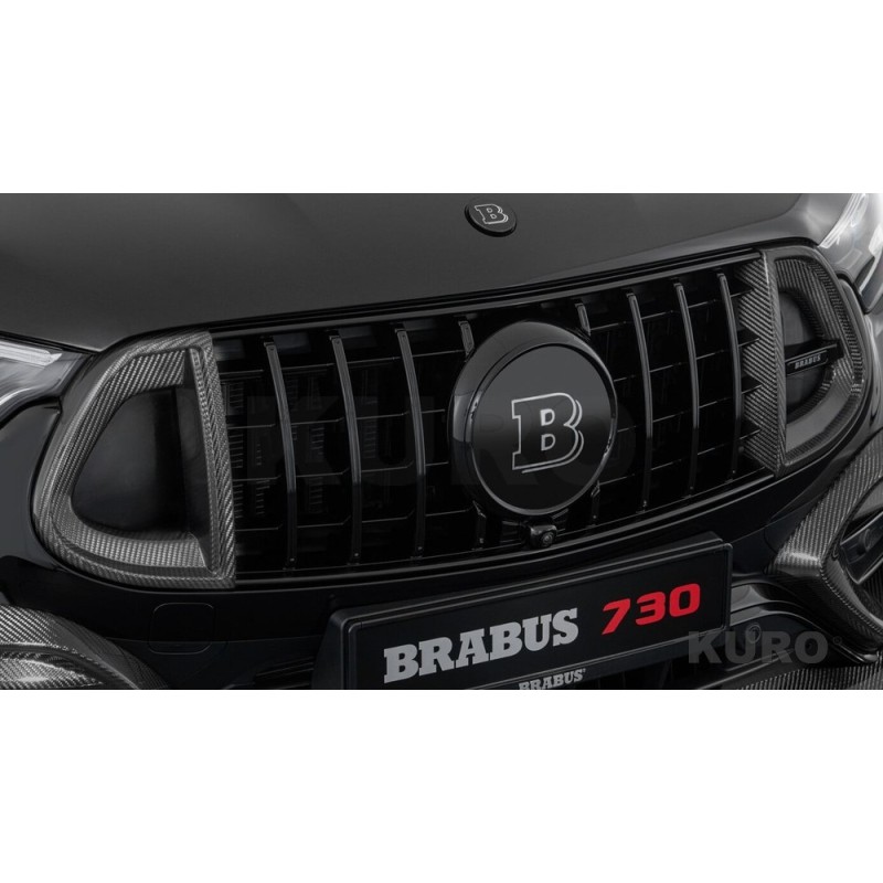 BRABUS Karbon przedni grill wkładki