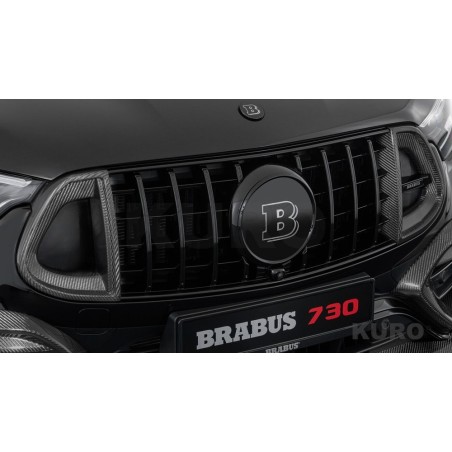 BRABUS Karbon przedni grill wkładki