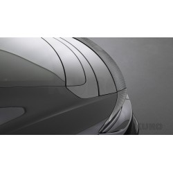 BRABUS Karbon tylny spoiler