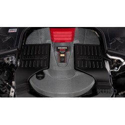 BRABUS Zwiększony Displacement Silnik 850 V12 - S 680