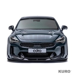 KIA Stinger ((Final Edition)) carbon Upper + Lower LIP SET