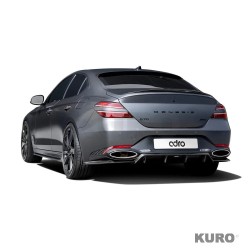 Genesis G70 FL carbon spoiler