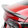 Tesla Model 3 prepreg spoiler V1