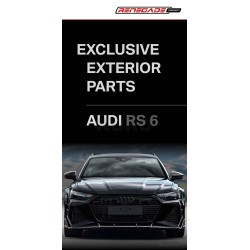 Renegade Design Audi RS 6