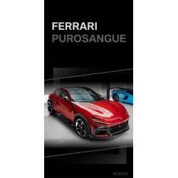 Renegade Design Ferrari