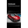 Renegade Design Ferrari