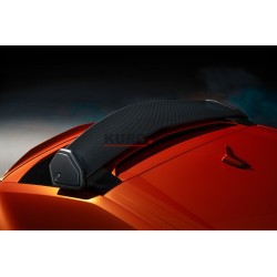 Urus SE - tył spoiler Assembly - widoczny karbon