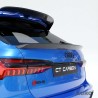 AUDI RS6 C8 avant carbon MIDDLE spoiler - CT DESIGN