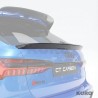 AUDI RS6 C8 avant carbon MIDDLE spoiler - CT DESIGN