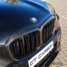 BMW X5 G05/F95 X5M 2019-2022 PRE LCI DOUBLE SLAT pre-preg carbon grill