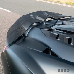 LAMBORGHINI REVUELTO carbon spoiler - CT DESIGN