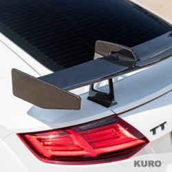 AUDI TT/TTS/TTRS QUATTRO MK3 2015-2020 carbon skrzydło