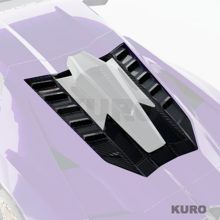 LAMBORGHINI REVUELTO matowy carbon ENGINE osłona - CT DESIGN